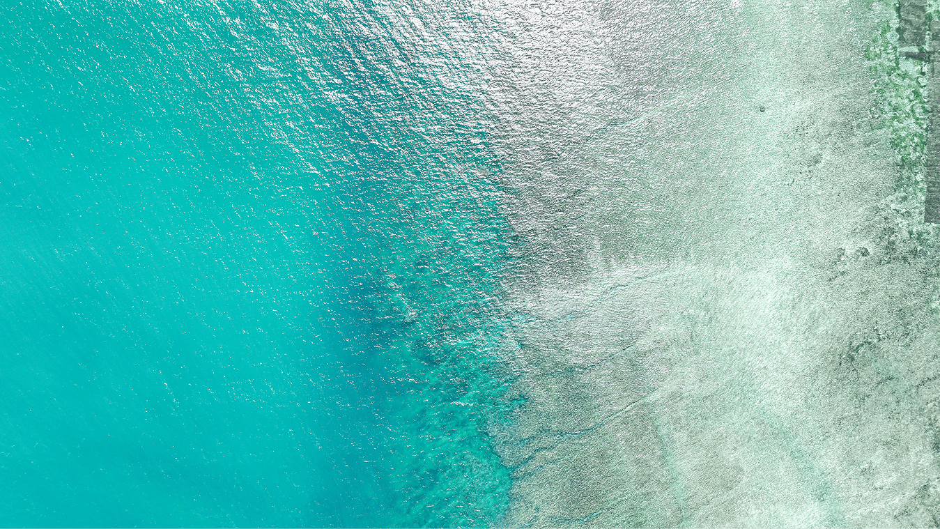 The Result — The Ocean Foundation