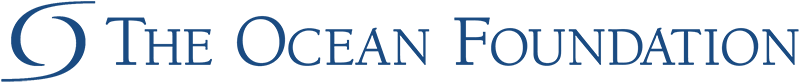 The Ocean Foundation